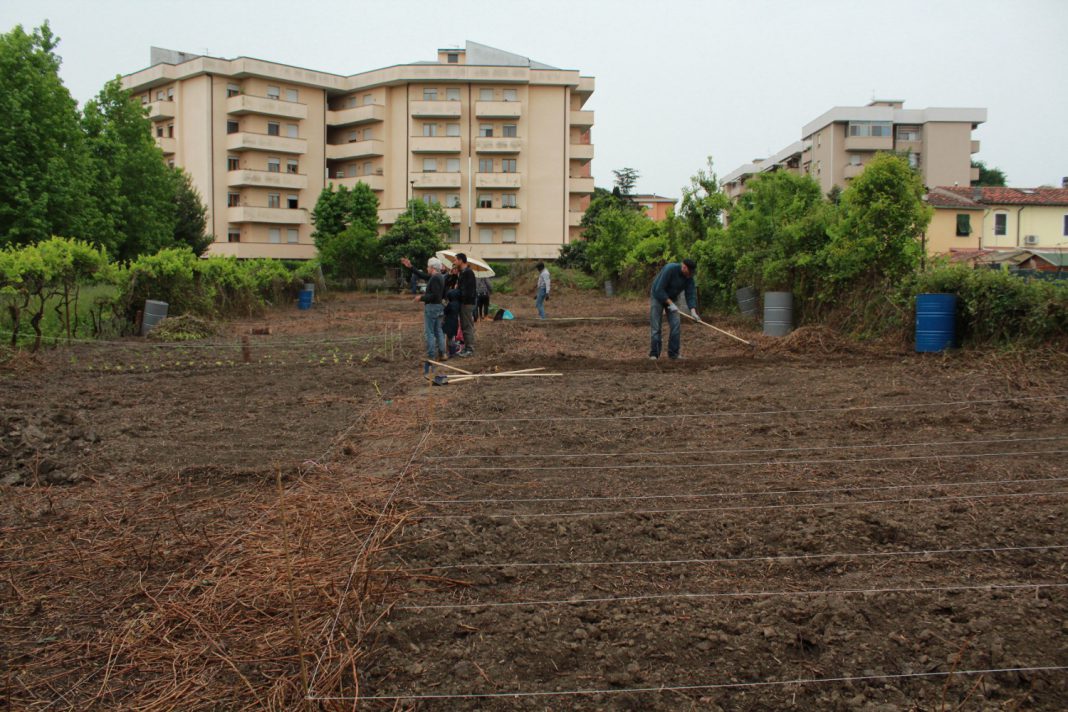 orti cittadini