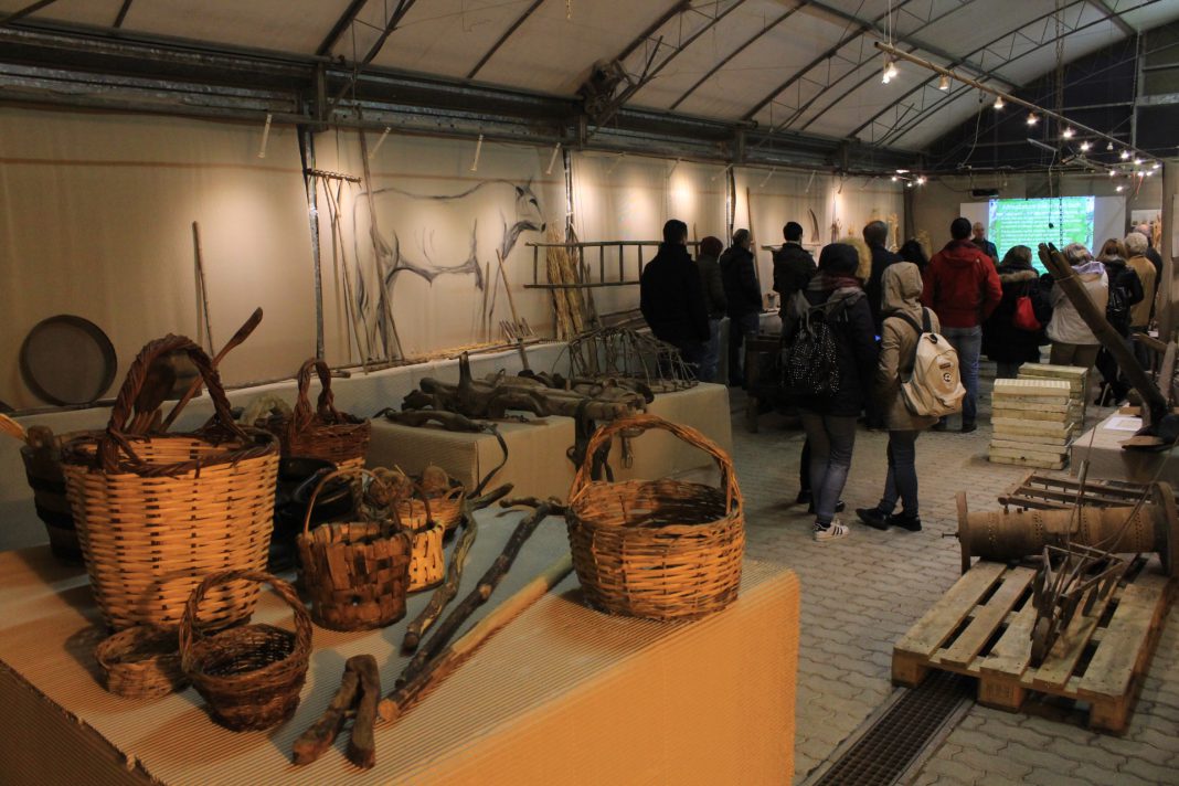 Museo Radico (1)