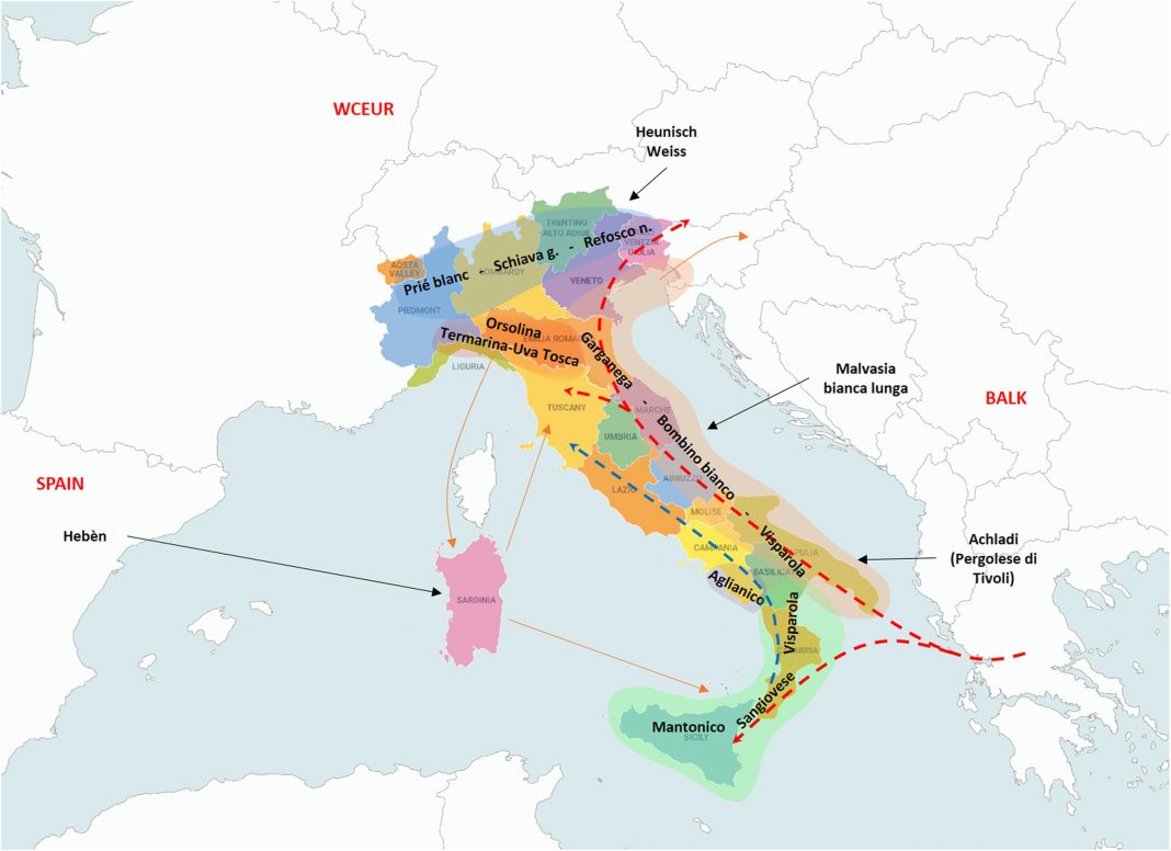 mappa_vini