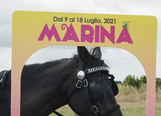 marina