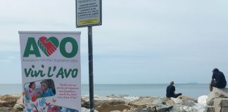 avo