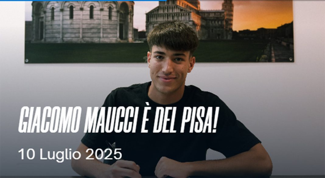 Maucci