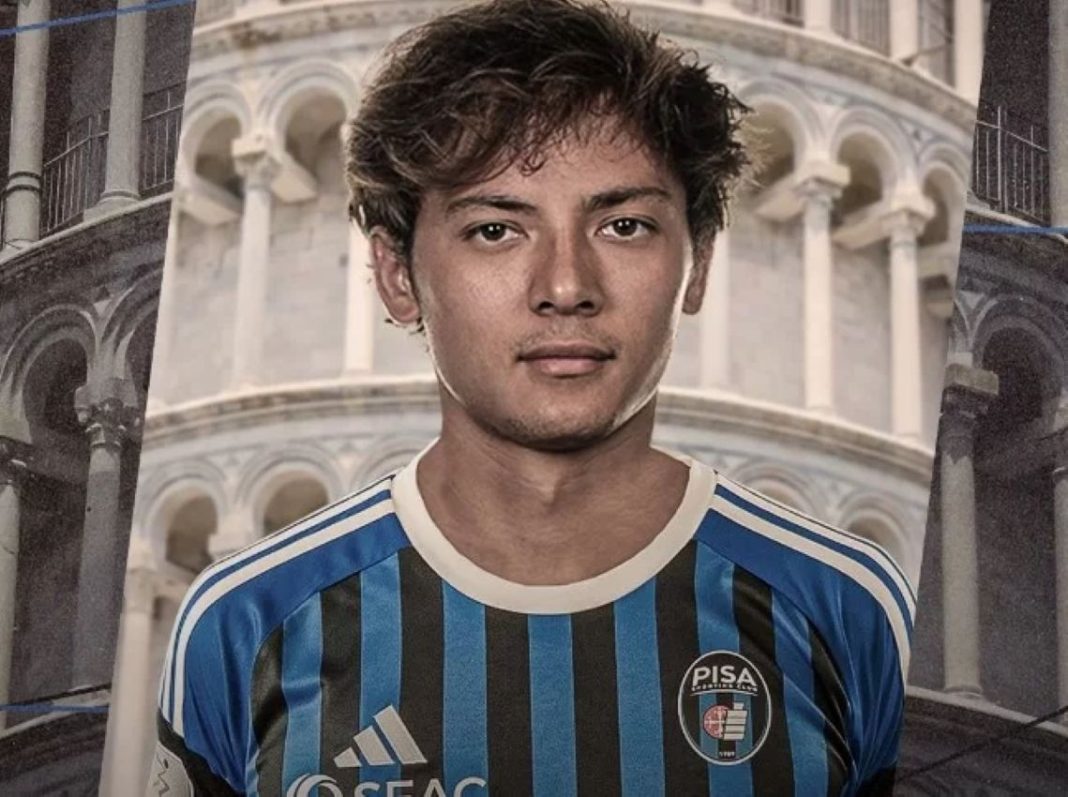 Vignato