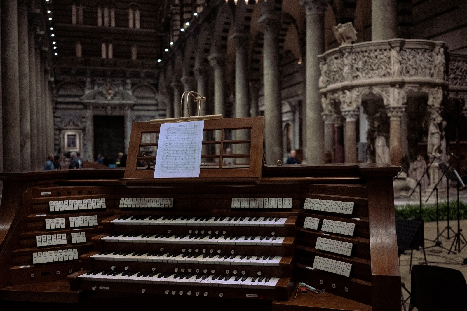 WhatsApp Image 2026-02-16 at 17.09.07