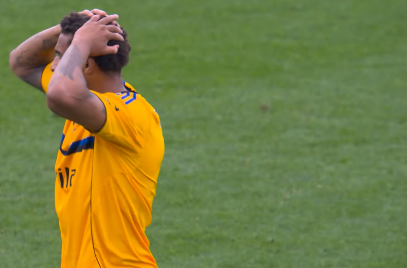 meister_pisa_gol_annullato