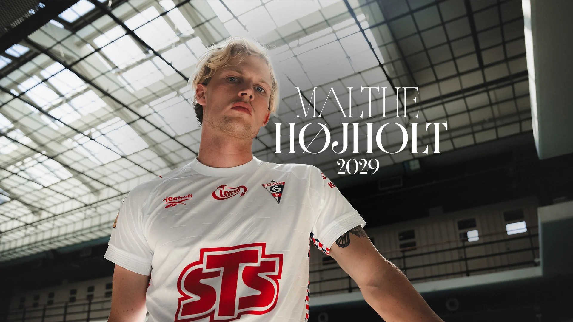 Hojholt_ceduto